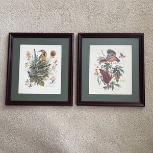 Arthur Singer Vintage Framed Bird Art Prints Set